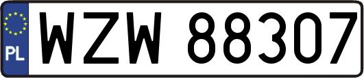 WZW88307