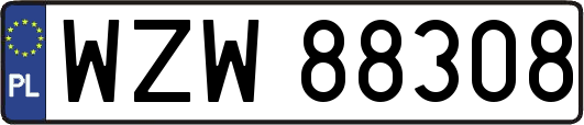 WZW88308
