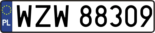 WZW88309