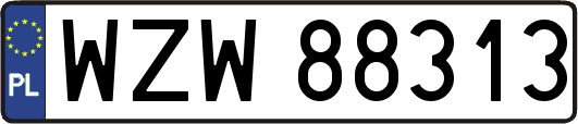 WZW88313