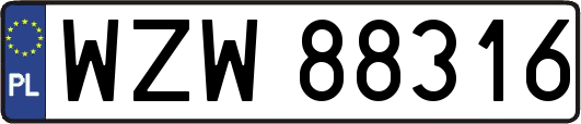 WZW88316