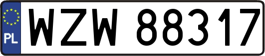WZW88317