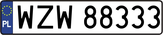 WZW88333