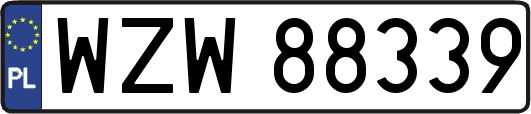 WZW88339