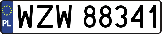 WZW88341