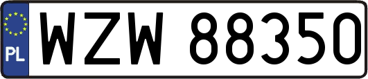 WZW88350