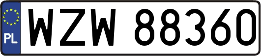 WZW88360