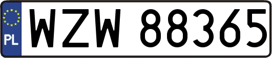 WZW88365