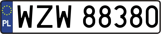WZW88380