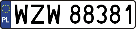 WZW88381