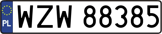 WZW88385