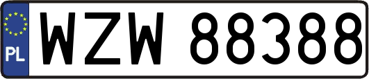 WZW88388