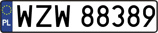 WZW88389