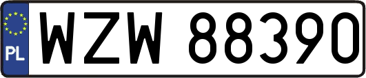 WZW88390