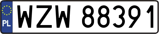 WZW88391
