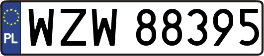 WZW88395