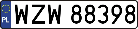 WZW88398