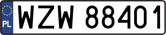 WZW88401