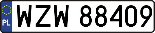 WZW88409