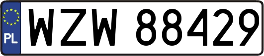 WZW88429