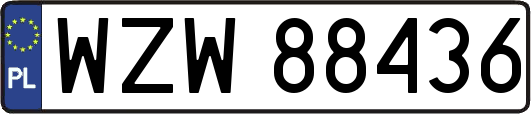 WZW88436