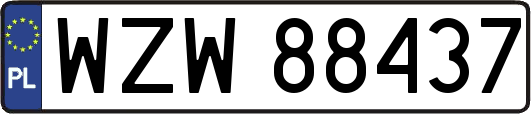 WZW88437