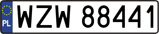 WZW88441