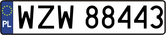 WZW88443