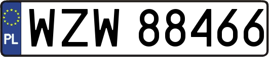 WZW88466