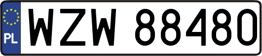 WZW88480