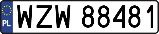 WZW88481