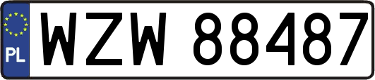 WZW88487