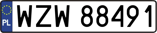 WZW88491