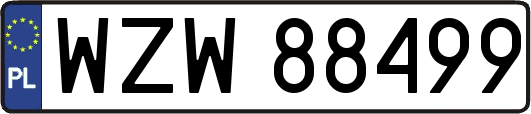 WZW88499