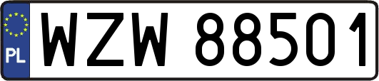 WZW88501