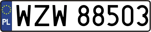 WZW88503