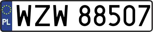 WZW88507