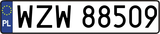 WZW88509
