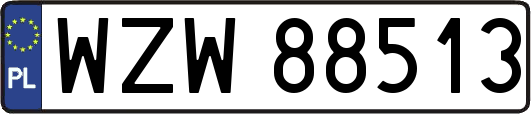 WZW88513