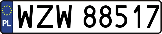 WZW88517