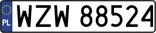 WZW88524