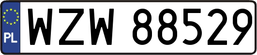 WZW88529
