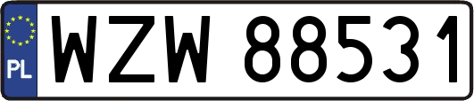 WZW88531