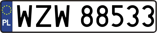 WZW88533