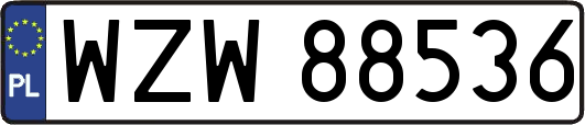 WZW88536