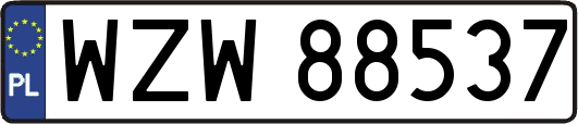 WZW88537