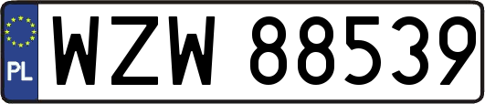 WZW88539