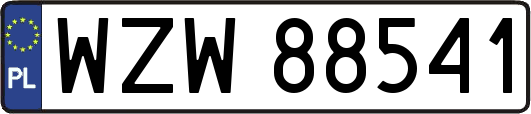 WZW88541