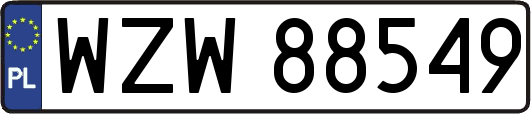 WZW88549