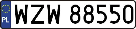 WZW88550